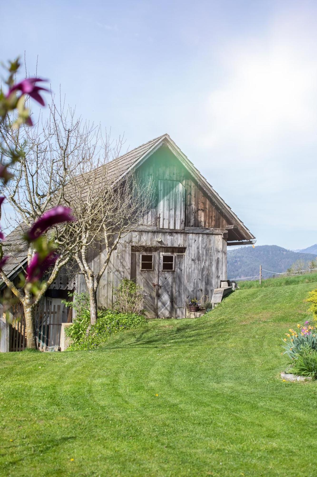 Ferienhaus Nuova Via Griffen エクステリア 写真