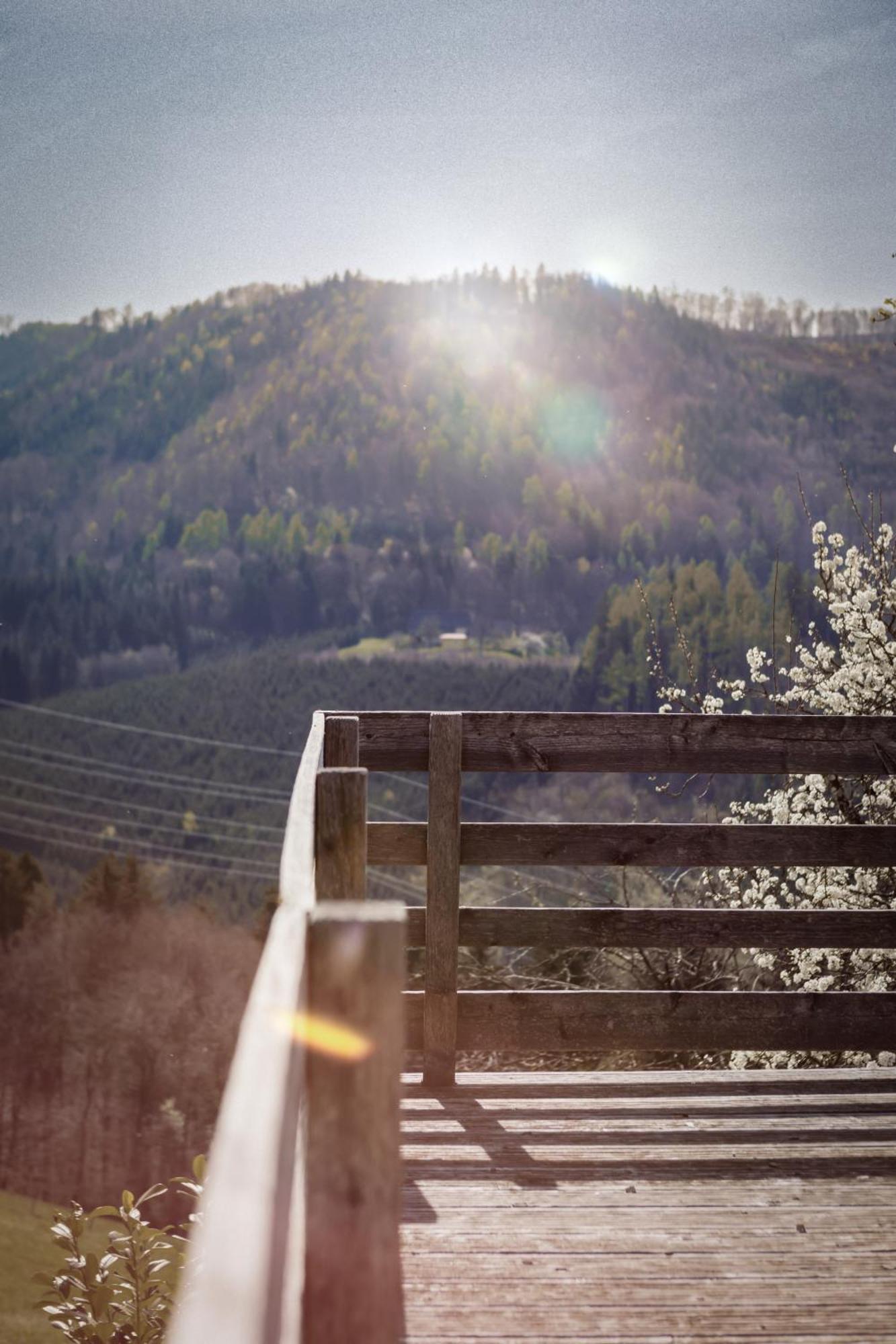 Ferienhaus Nuova Via Griffen エクステリア 写真