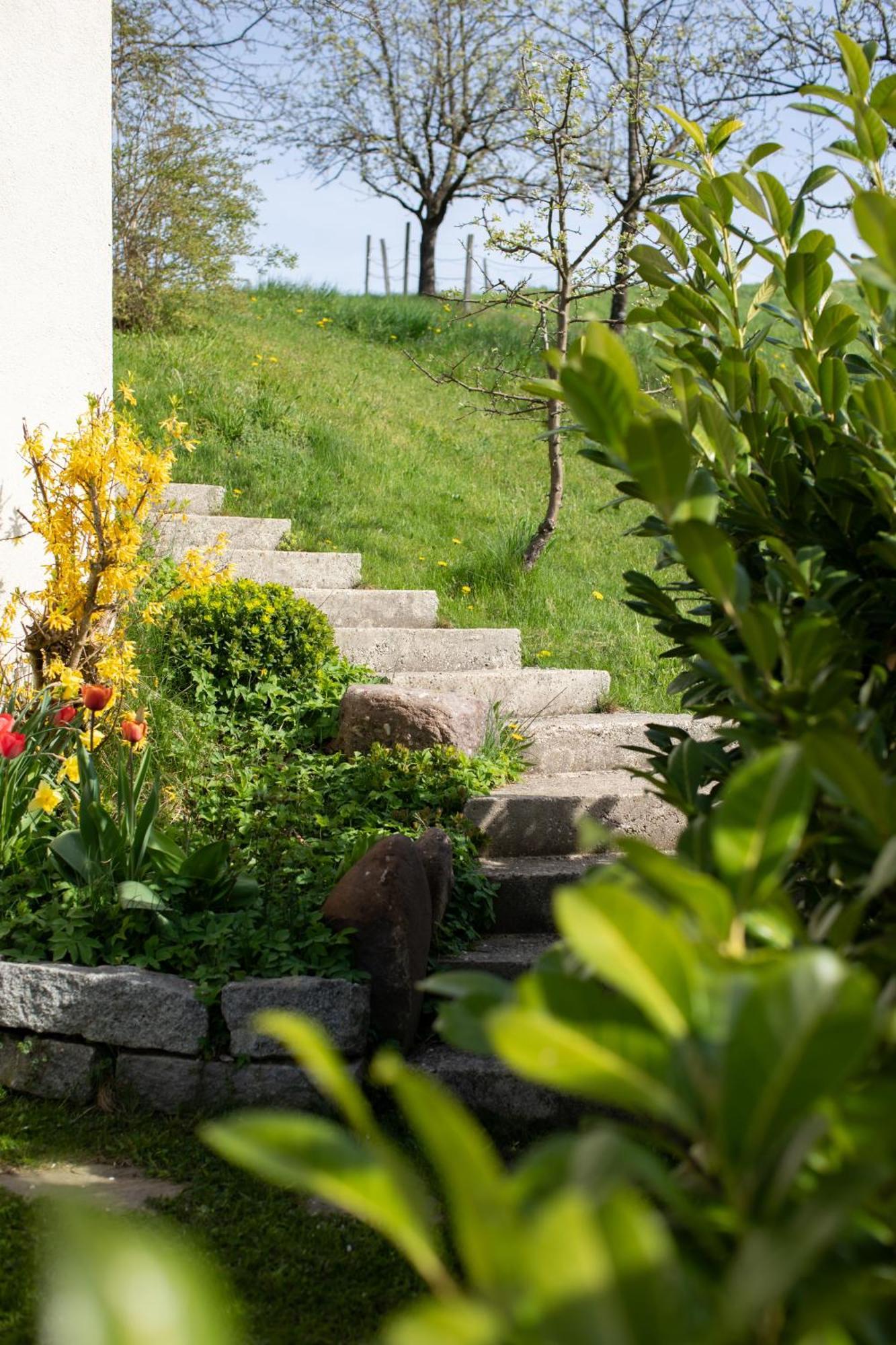 Ferienhaus Nuova Via Griffen エクステリア 写真